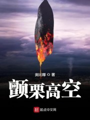 颤栗高空 手打 无防盗