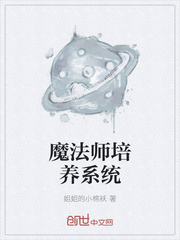 魔法师系统流小说