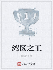 湾区之王epub