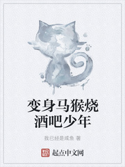 变身马猴烧酒吧少年小说