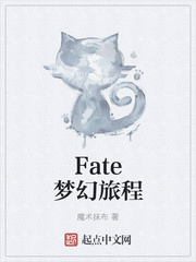 fate梦幻旅程txt下载