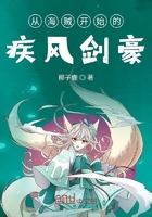 重生海贼之疾风剑豪