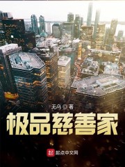 慈善家日记1—4