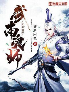 武南魂师百科