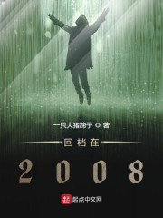 回档在2008小说