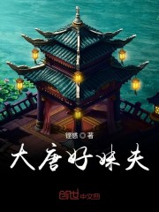 大唐好妹夫顶点