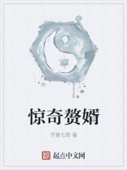 惊奇赘婿epub