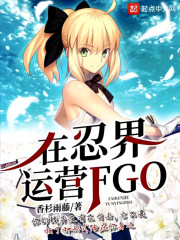 在忍界运营fgo 小说