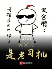 我真不是老司机epub