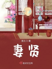 妻贤夫祸少完整版