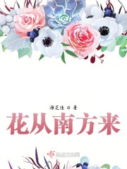 适合南方的花