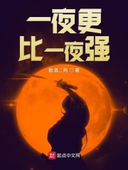 一夜更比一夜强类似的小说