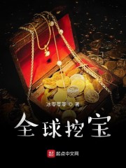 全球探宝txt下载