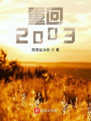 重回2003雨雪紫冰辰txt