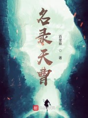 名录天曹下载