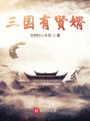 三国时代2招降