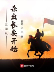 三国从杀出长安开始无弹窗