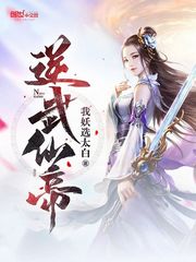 丹武仙帝 小说