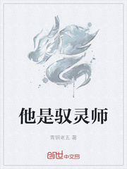 驭灵师有没有小说