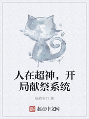 人在超神,开局献祭系统 小说