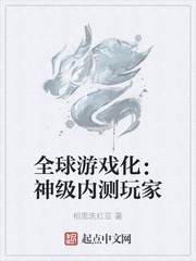 全球游戏化:神级 小说