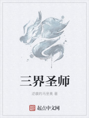 三界圣师txt下载