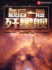 最后一艘歼星舰txt下载