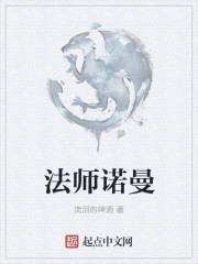 法师诺曼 小说