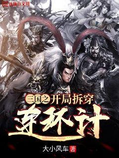 三国之开局拆穿连环计txt