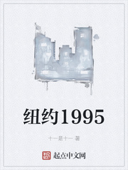 纽约1995小说