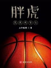 nba之控卫胖虎起点