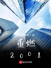 重燃2001txt下载