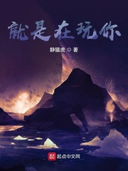 就是玩原版