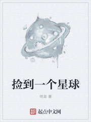 捡到一颗星球:我的冒险被直播了