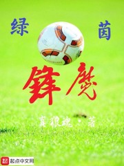 绿茵锋魔起点