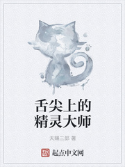 舌尖上的精灵大师相似的小说