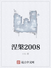 涅槃2008 小说