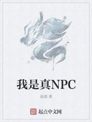 我是真NPC