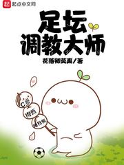 足坛调教大师顶点