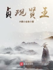 贞观贤王无弹窗