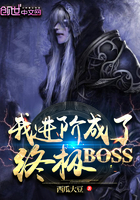 我进阶成了终极BOSS 小说