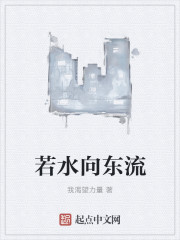 若水向东流txt