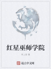 巫师学院类小说