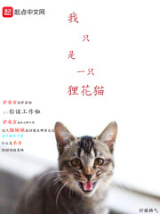 小狸花猫多少钱一只