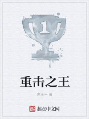 重击之王 epub