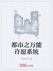 都市之万能许愿系统 boss张