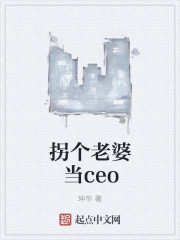 拐了个老婆当CEO