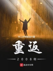 重返2008年番外百度云