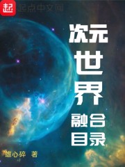 次元世界融合目录[综] 小说